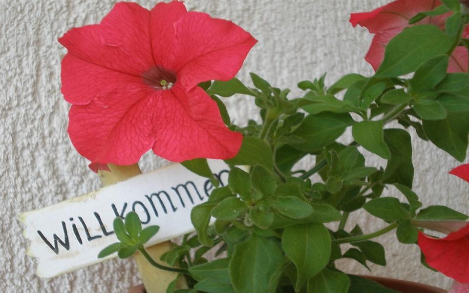 קרק Apartments Hajl מראה חיצוני תמונה